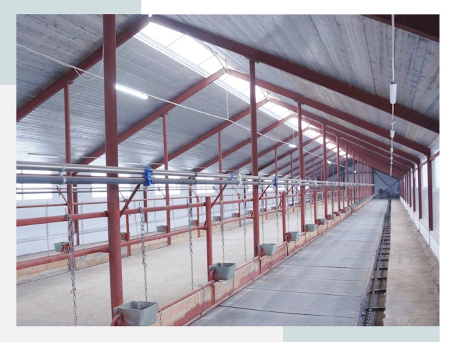 Строительство коровников в Хабаровске от 617 руб.