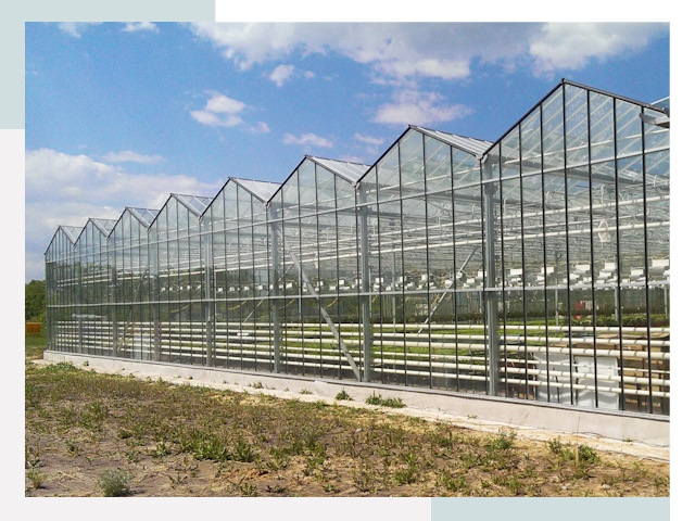 Строительство теплиц в Хабаровск от 617 руб. за м²