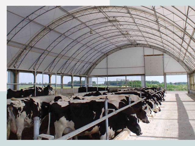 Тентовые коровники в Хабаровске