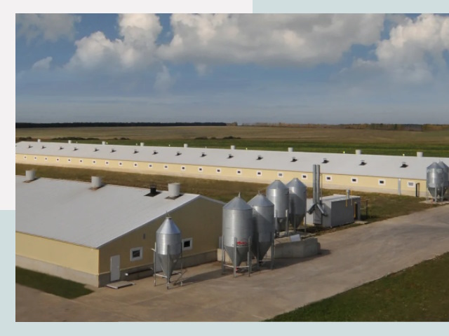 Проектирование свинарников в Хабаровске от 61728 р. | СтальСтрой-Хбр